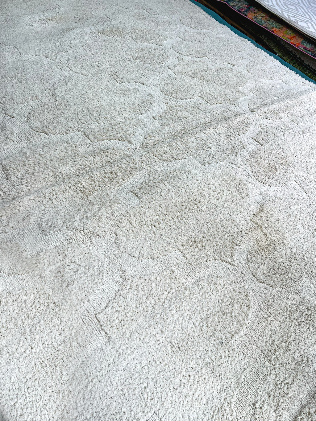 Trellis Shag Collection